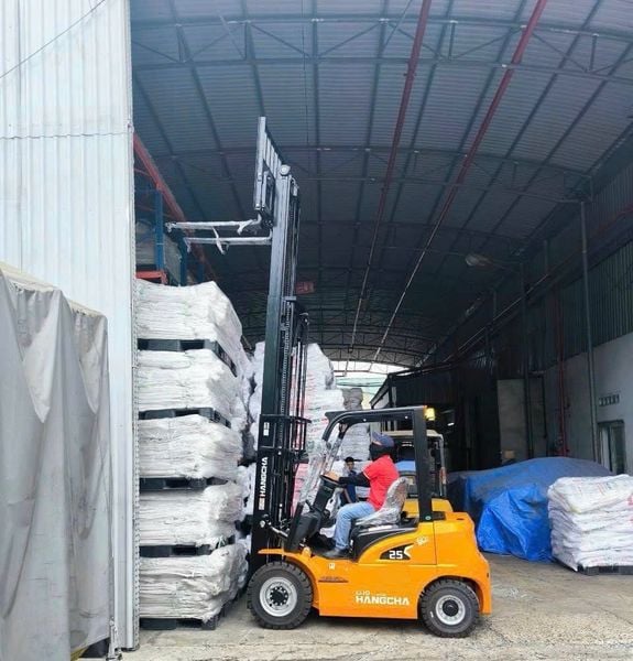 Xe hangcha nâng lên cao