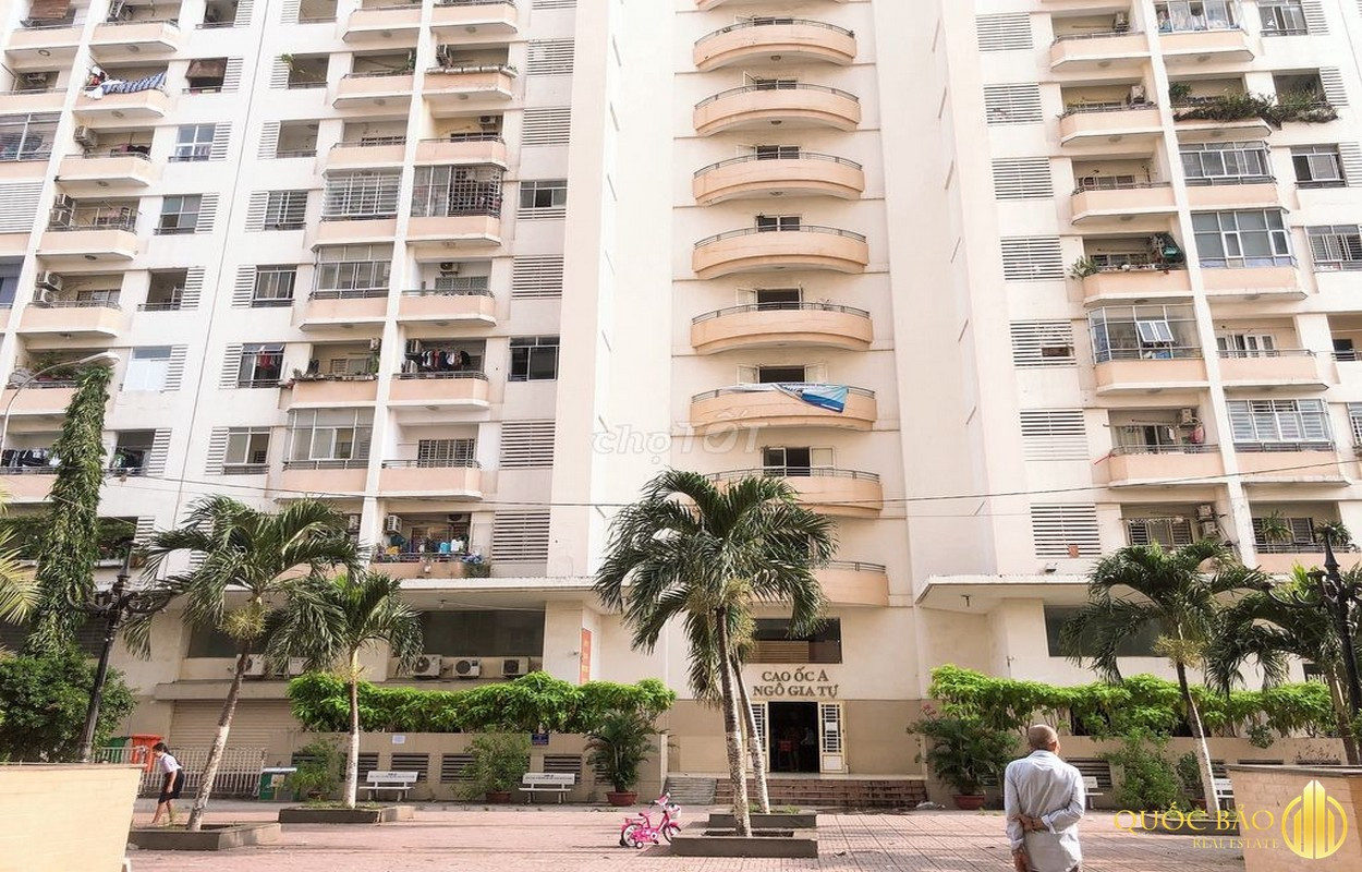 Khám Phá Tổ Ong Khổng Lồ Trong Căn Hộ Ở Hàng Châu