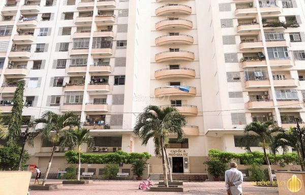 Khám Phá Tổ Ong Khổng Lồ Trong Căn Hộ Ở Hàng Châu