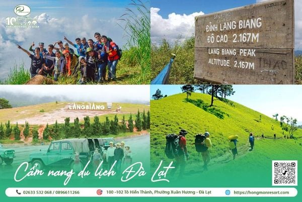 Du lịch Đà Lạt 2025: Khám phá 10+ địa điểm tham quan hot nhất