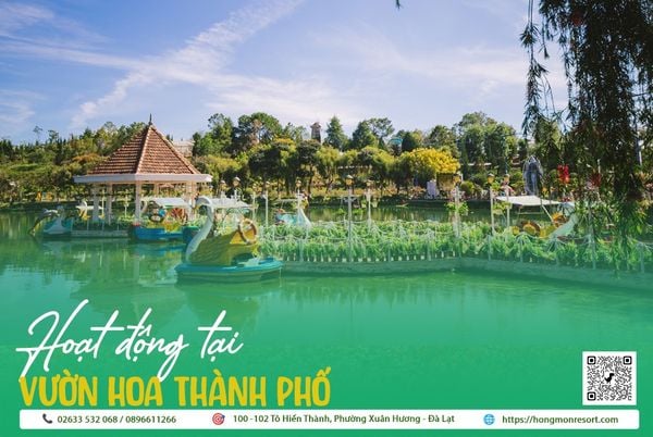 Vườn Hoa Thành Phố Đà Lạt: Thiên Đường Sắc Màu Bạn Không Thể Bỏ Qua