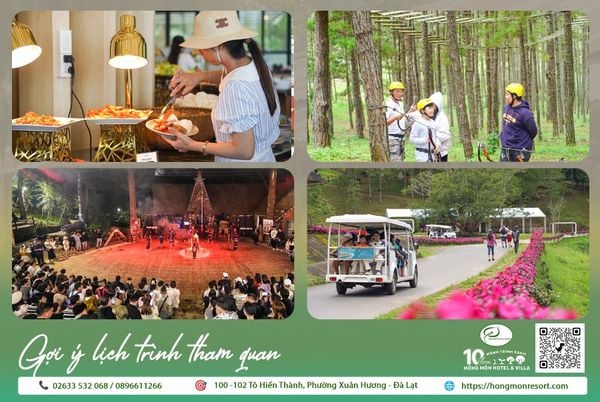 Trải Nghiệm Thung lũng Tình Yêu Đà Lạt: Cẩm Nang Từ A-Z (2025)