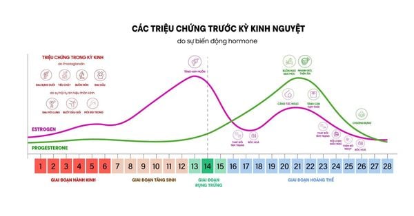 Cách giảm đau bụng kinh tự nhiên