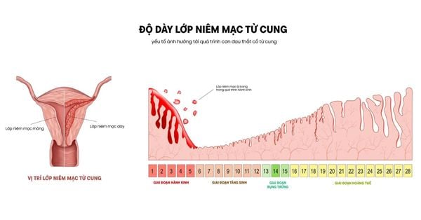 Cách giảm đau bụng kinh tự nhiên
