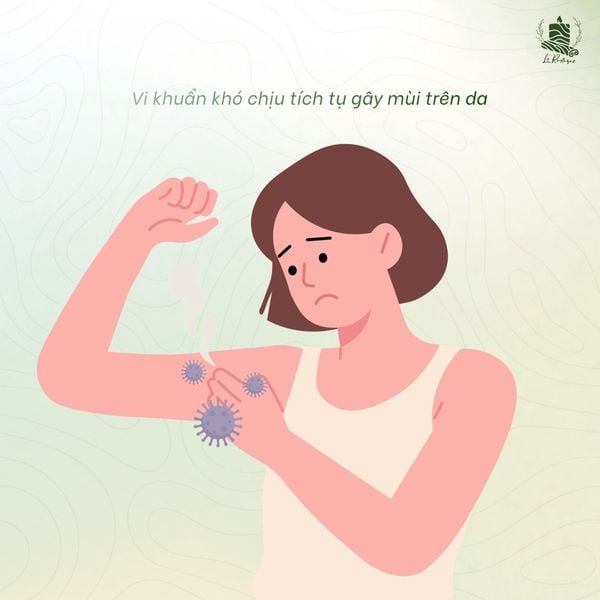 Vi khuẩn tích tụ chính là nguyên nhân chính dẫn đến mùi cơ thể