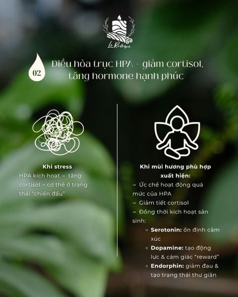 HORMONE HẠNH PHÚC”