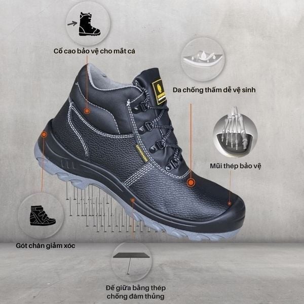Top Giày Bảo Hộ Sigmapro Được Đánh Giá Cao Về Chất Lượng