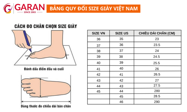 Khám Phá Top Giày Bảo Hộ KCEP Được Đánh Giá Cao Nhất 2025