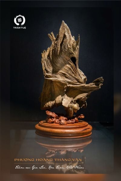 Trầm cảnh tự nhiên Việt Nam Phượng Hoàng Thăng Vân trầm tuệ tramtue