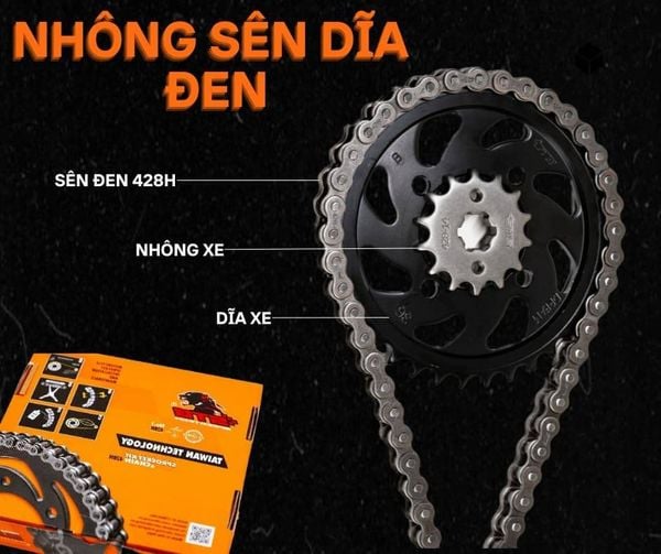 Nhông Sên Dĩa STB