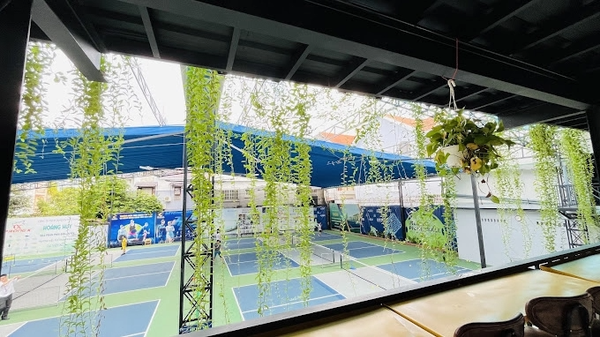 Hình ảnh bài viết