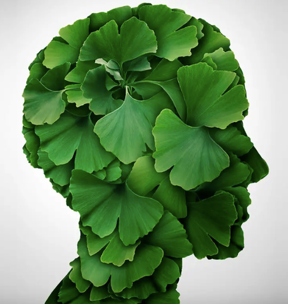 Hình ảnh bài viết