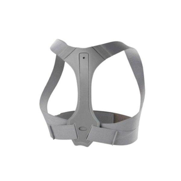 Hình ảnh bài viết