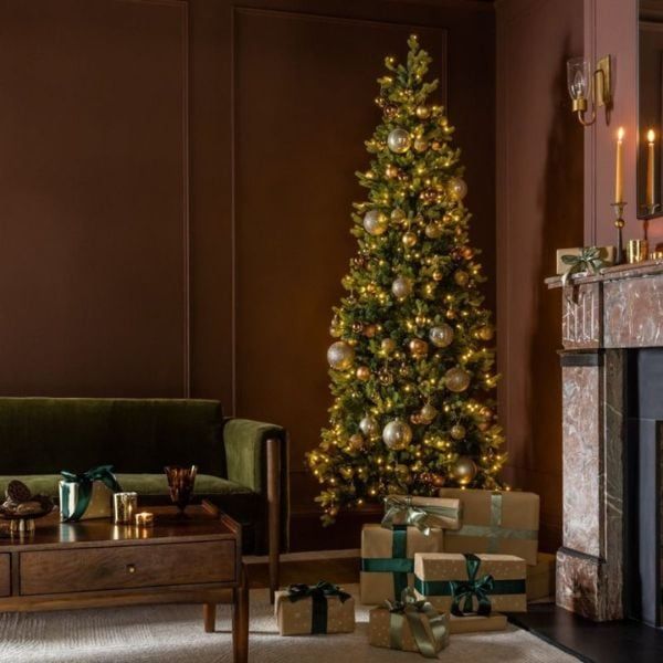 Hình ảnh bài viết