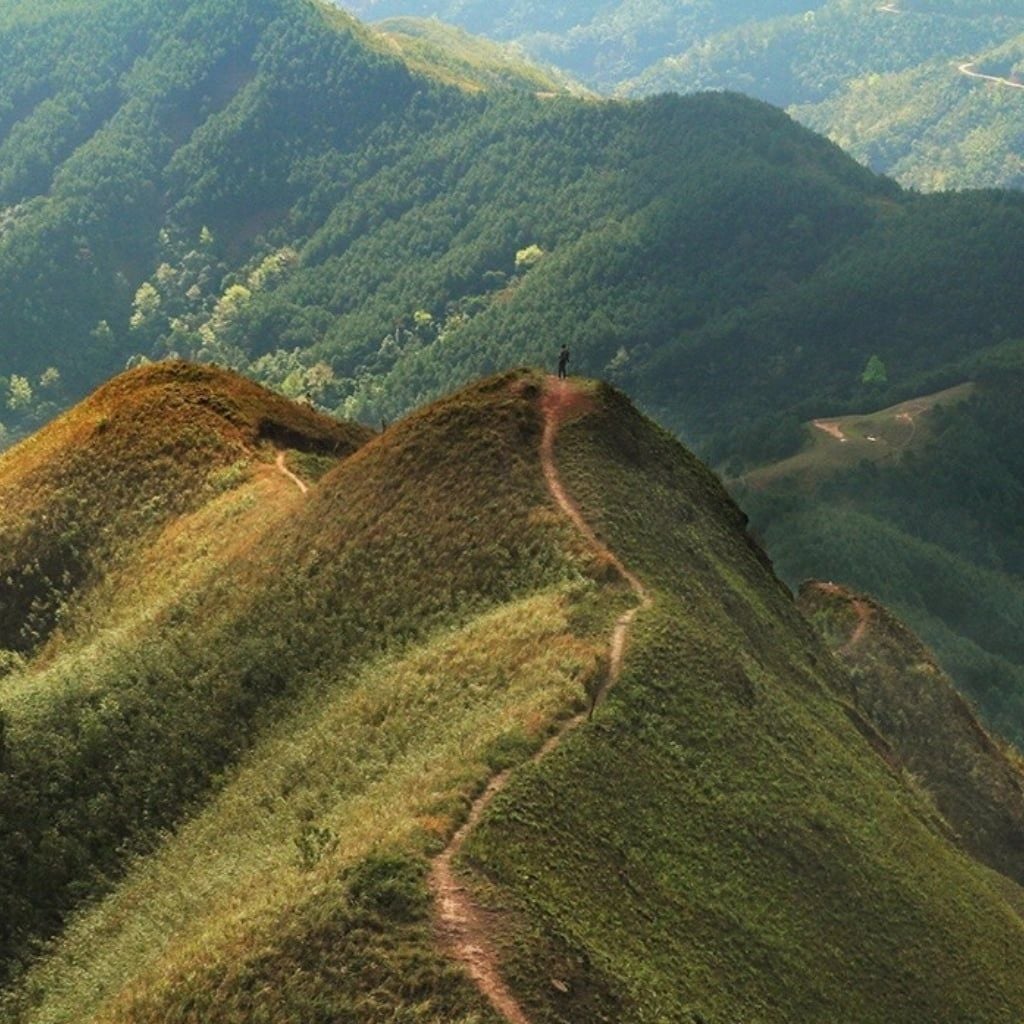Hình ảnh bài viết