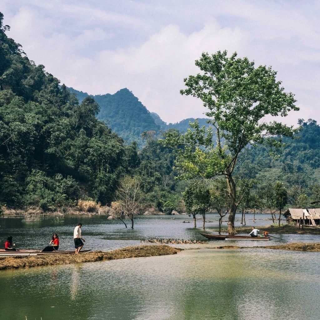 Hình ảnh bài viết