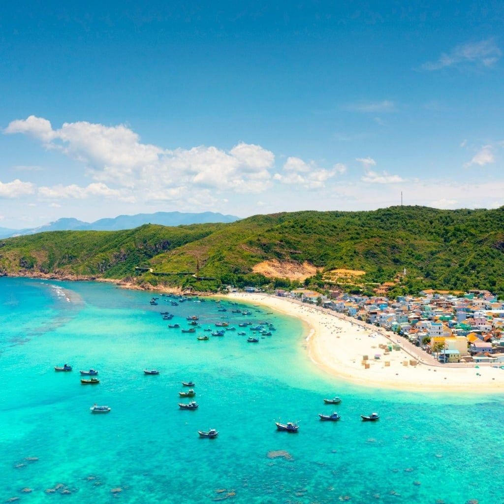 Hình ảnh bài viết