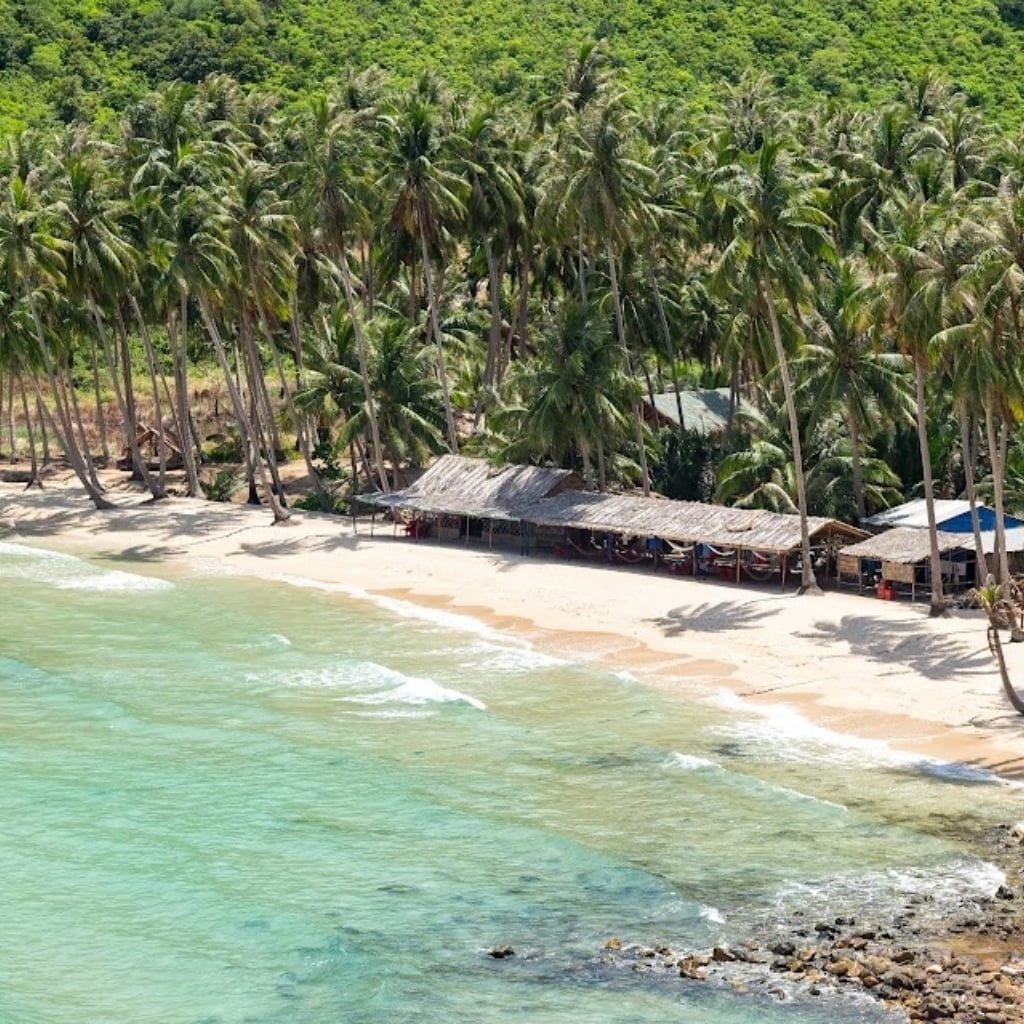 Hình ảnh bài viết