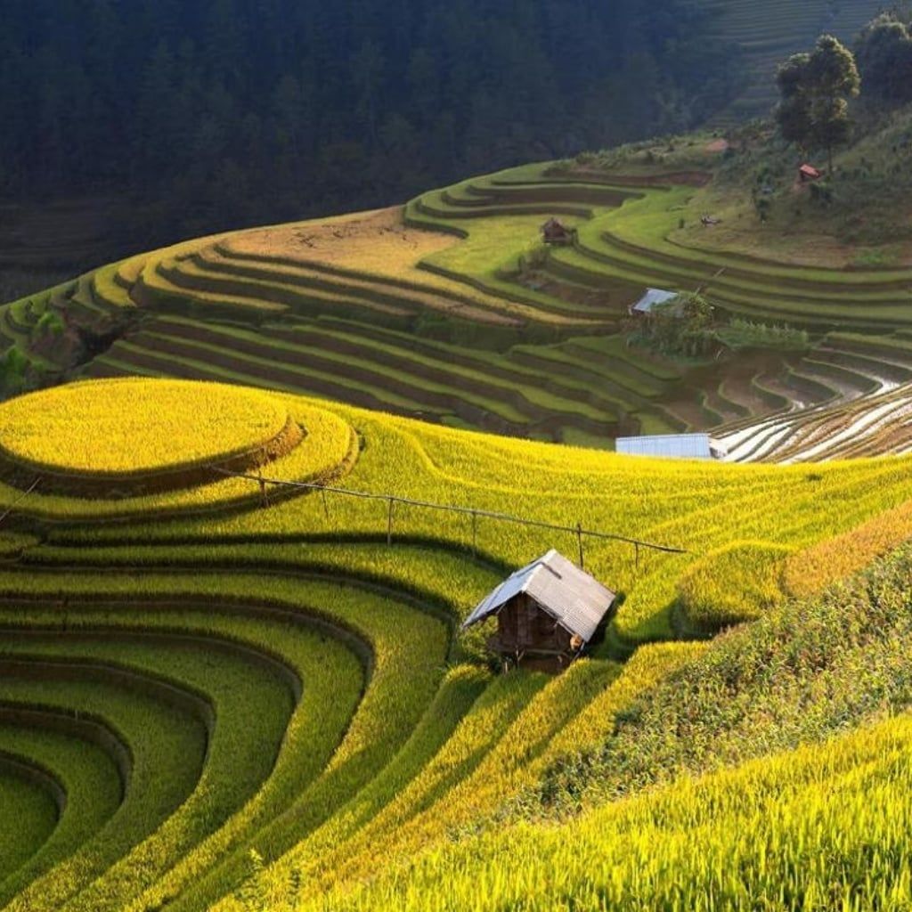 Hình ảnh bài viết