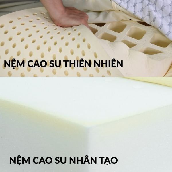 Hình ảnh bài viết