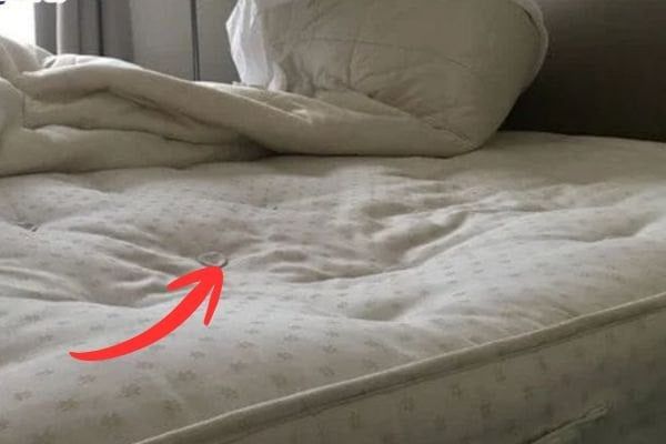 Hình ảnh bài viết