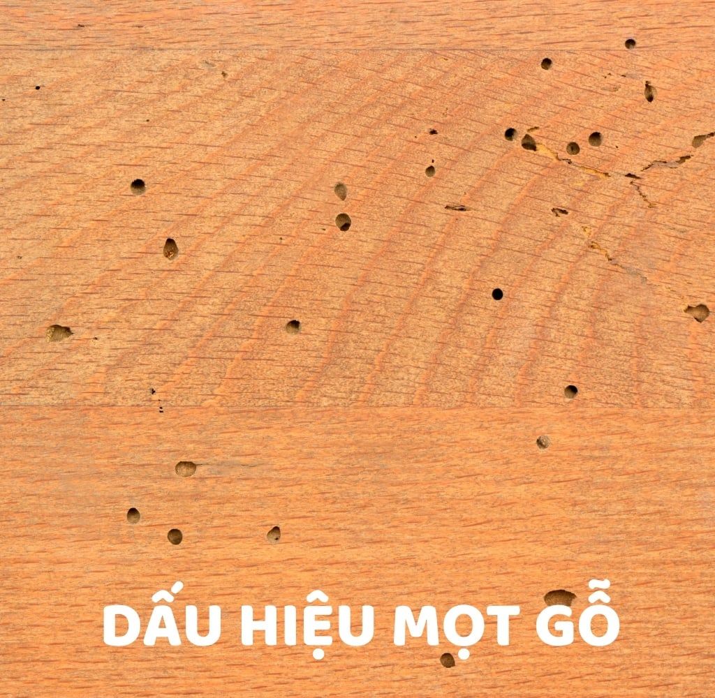 cach-tri-mot-go-tai-nha-hieu-qua