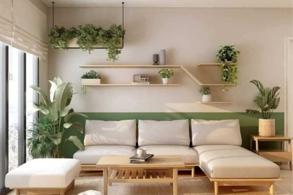 Hình ảnh bài viết