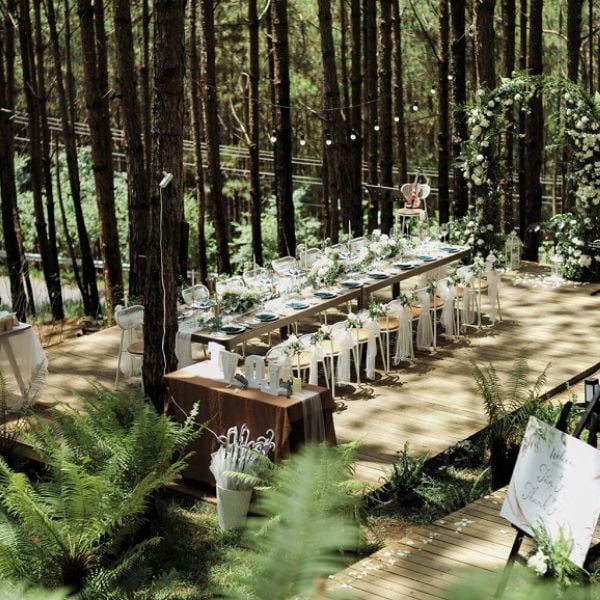 Hình ảnh bài viết