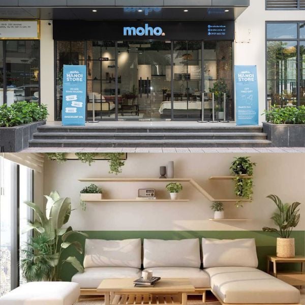 Hình ảnh bài viết