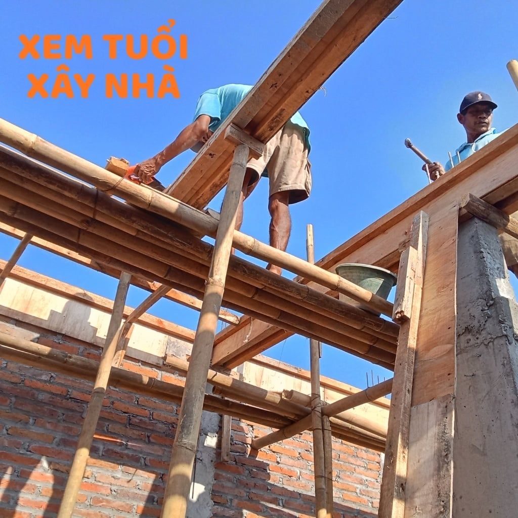 Hình ảnh bài viết