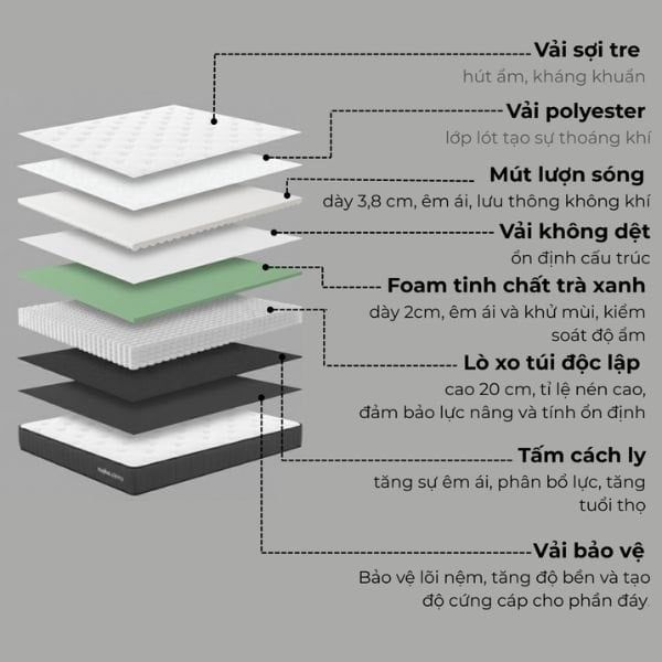 Hình ảnh bài viết