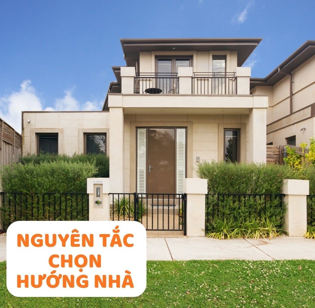 Hình ảnh bài viết