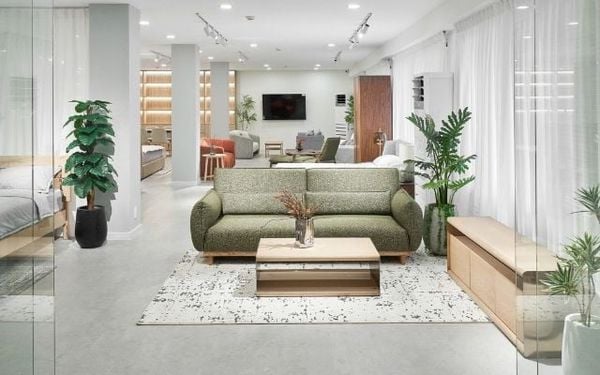 Hình ảnh bài viết