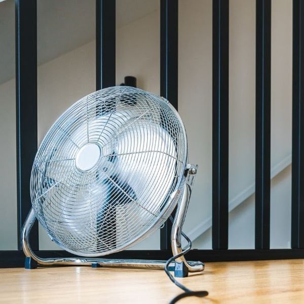 Hình ảnh bài viết