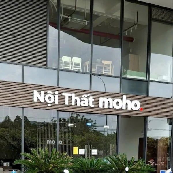 Hình ảnh bài viết