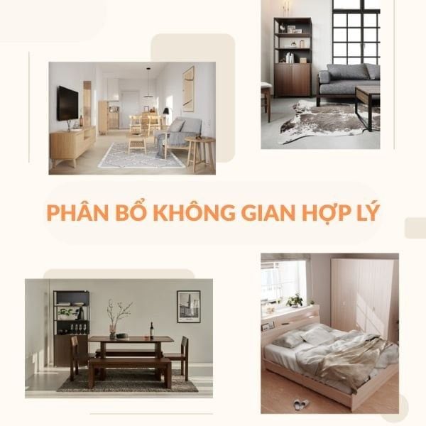 Hình ảnh bài viết