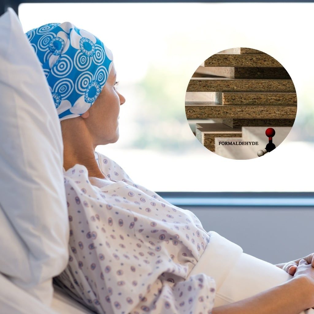 Hình ảnh bài viết