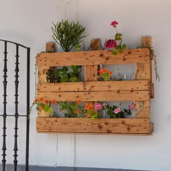 Hình ảnh bài viết