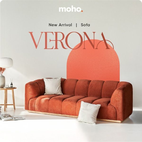 Hình ảnh bài viết