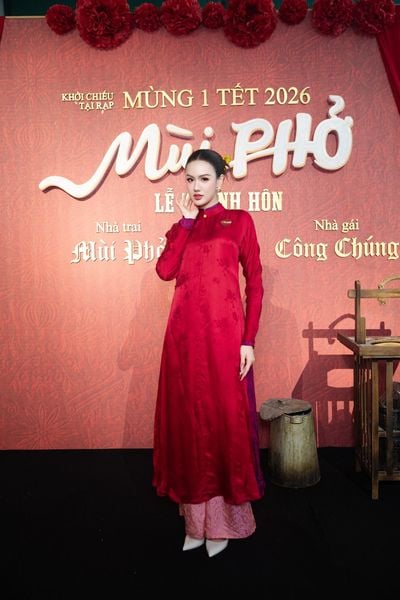 Á hậu Trịnh Mỹ Anh