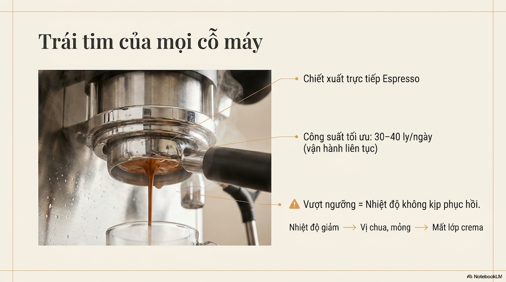 Số Ly Mỗi Ngày Quyết Định 1 Group Hay 2–3 Group