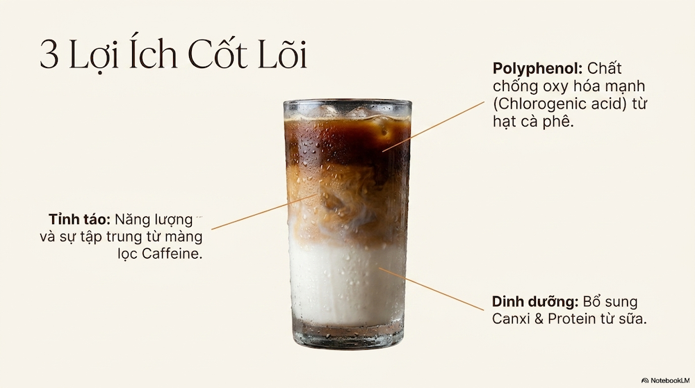 Cà phê sữa mang lại ba lợi ích có căn cứ khoa học rõ ràng: tỉnh táo và tập trung (từ caffeine), bổ sung canxi và protein (từ sữa), và cung cấp polyphenol — hợp chất chống oxy hóa — từ hạt cà phê, đặc biệt là chlorogenic acid.
