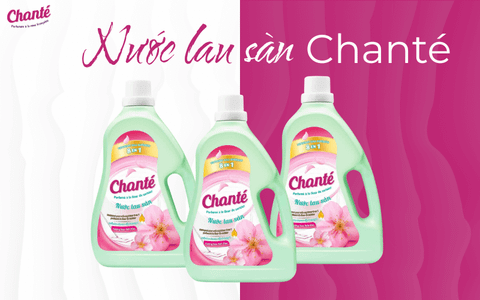 Nước Lau Sàn Chanté - Hương Anh Đào&nbsp; - nhanvan.vn