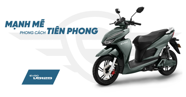 Xe điện EVGO VS125