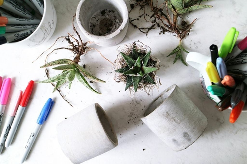 Important Tips for Making Concrete Planters at Home