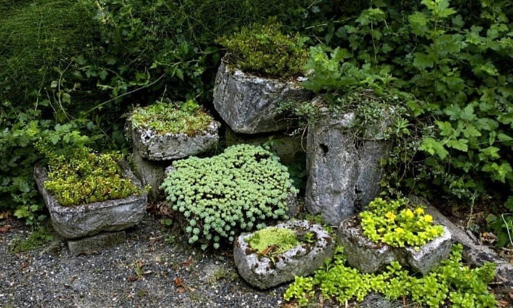 How Can You Get Creative with Hypertufa Planters