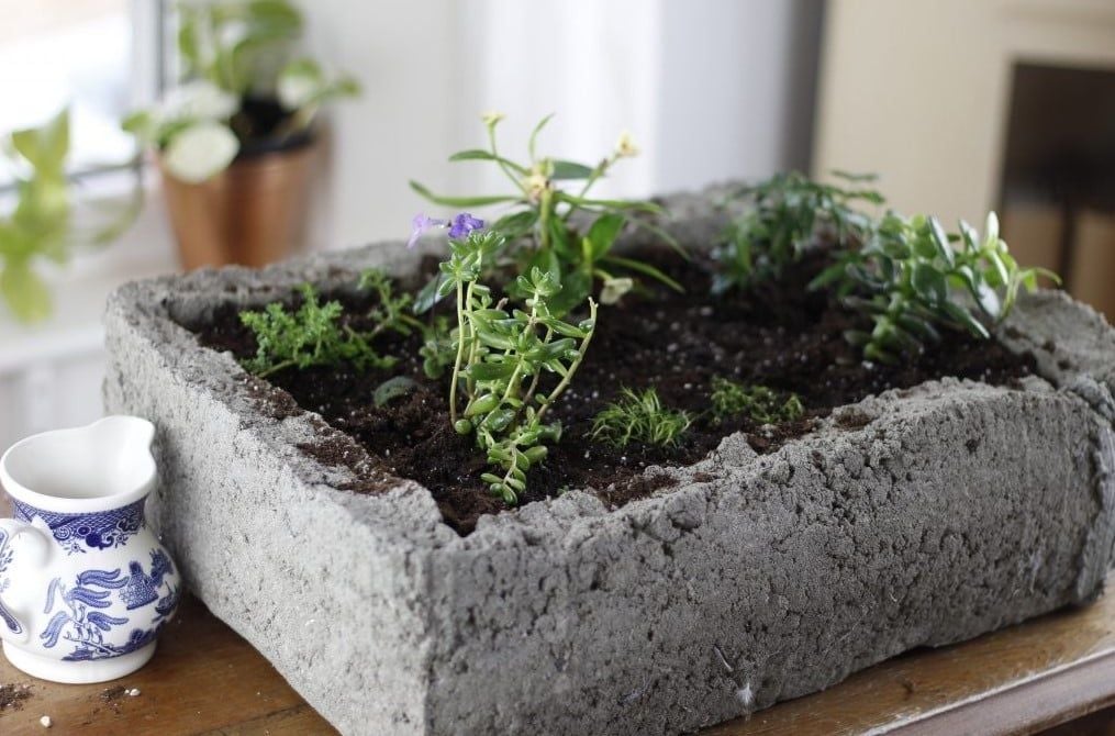 What Are the Pros and Cons of Hypertufa Planters