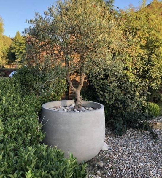 Eco-Friendly Fiber Cement Planters