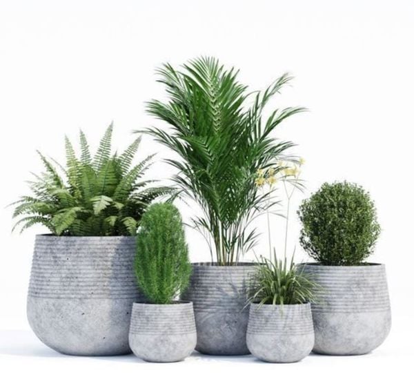 Fiber Cement Planter Manufacturer in Vietnam