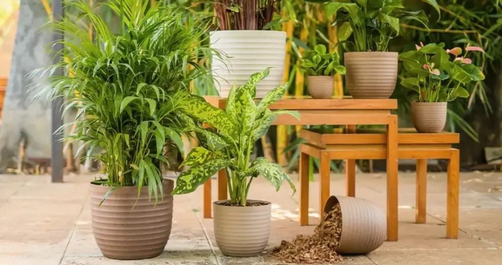 Ensuring Sustainability planter pot